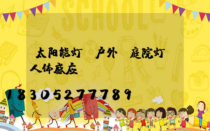 太阳能灯 户外 庭院灯 人体感应